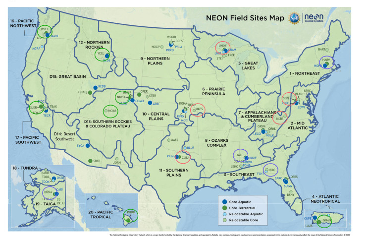 NEON Map