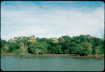 AppleMark