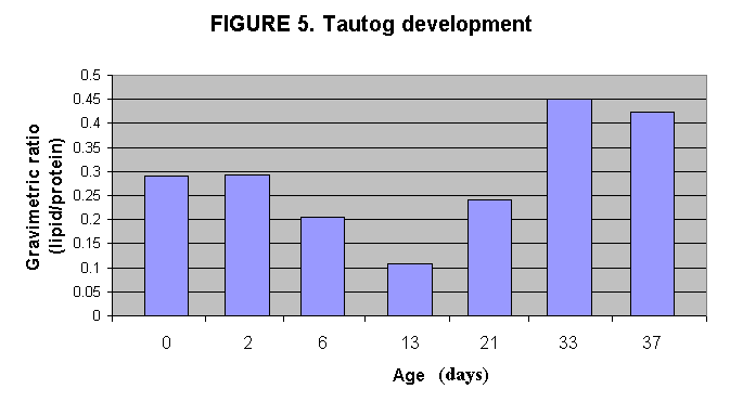 ChartObject FIGURE 5. Tautog development