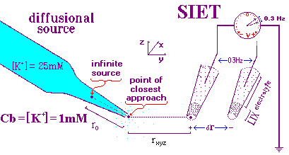 Ion probe Model