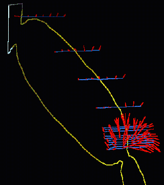 Ion probe