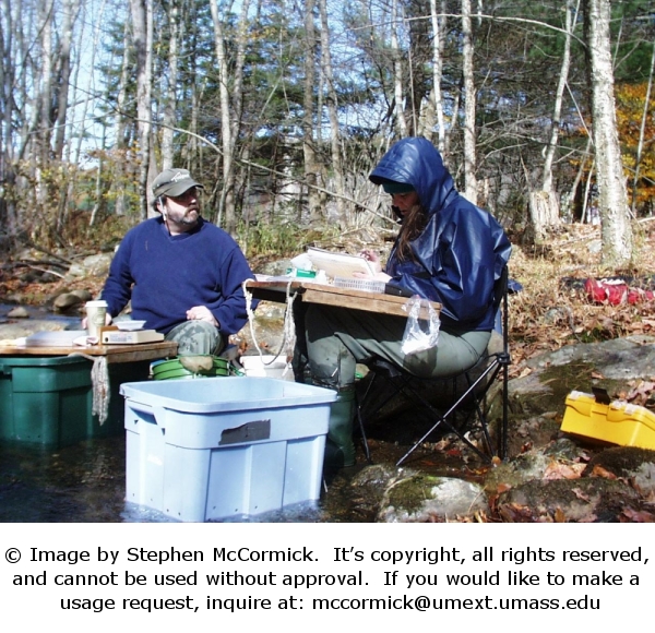 In-stream sampling in Smith Brook, VT.