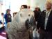 Say hello to Doc, our African Grey Parrot