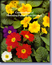 Compendium of Flowering Potted Plant Diseases ::