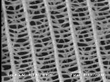 Monarch wing
        scale, higher magnification