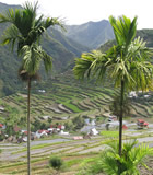 Batad