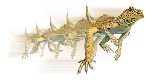 An illustration of an Uma lizard running