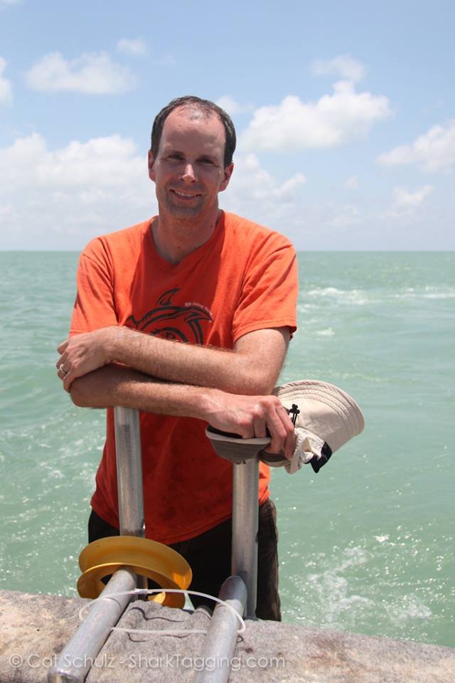 Duncan Irschick working with sharks in Florida. Image credit: Austin Gallagher