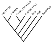 PNAS 1991 Fig 1b
