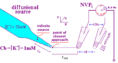 Ion probe Model