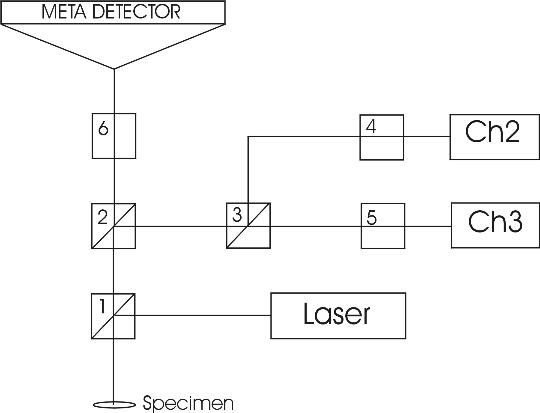 Zeiss510Meta Optical Path